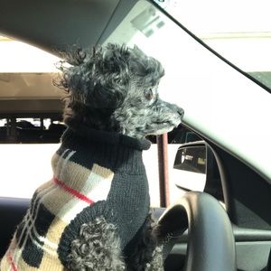 Meet your Posher, Jennifer